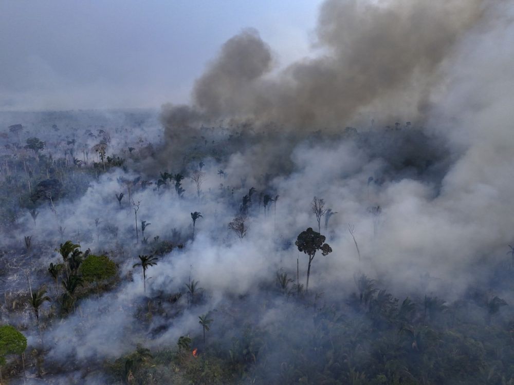 Ipec: 44% avaliam como ruim ou péssima gestão de Lula no meio ambiente; 27% acham ótima ou boa