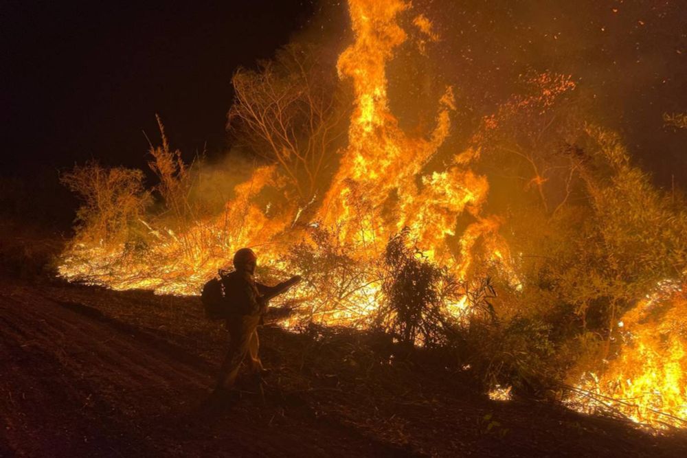 Ibama multa em R$ 50 mi advogado de Beira-Mar por fogo no Pantanal