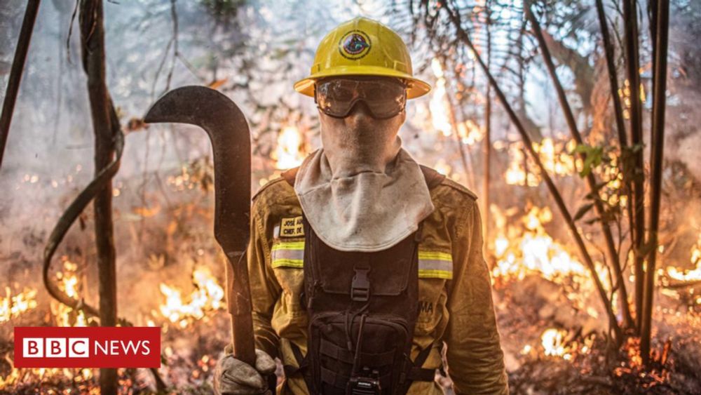 Queimadas: o drama dos brigadistas na mais grave crise de incêndios em 14 anos - BBC News Brasil