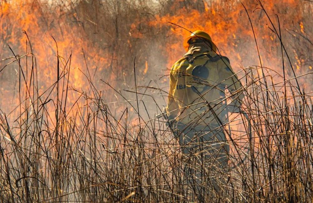 Cidades com mais incêndios têm “fama” de garimpo ilegal e desmatamento | Metrópoles