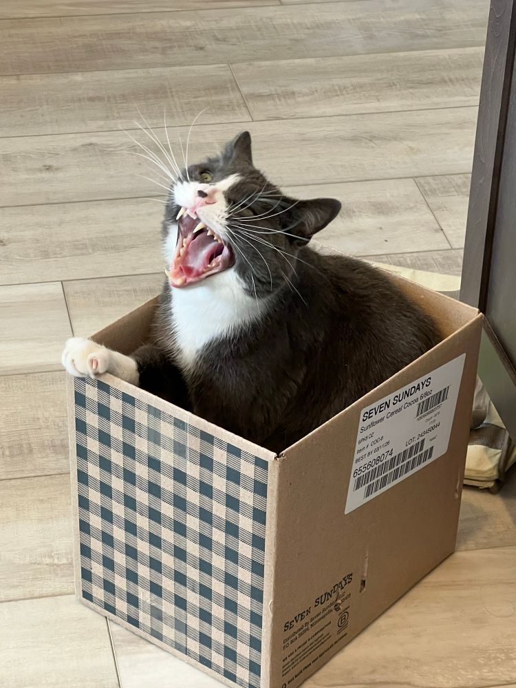 Neptune with eyes closed and wide open mouth, this terrifying teeth clearly visible.