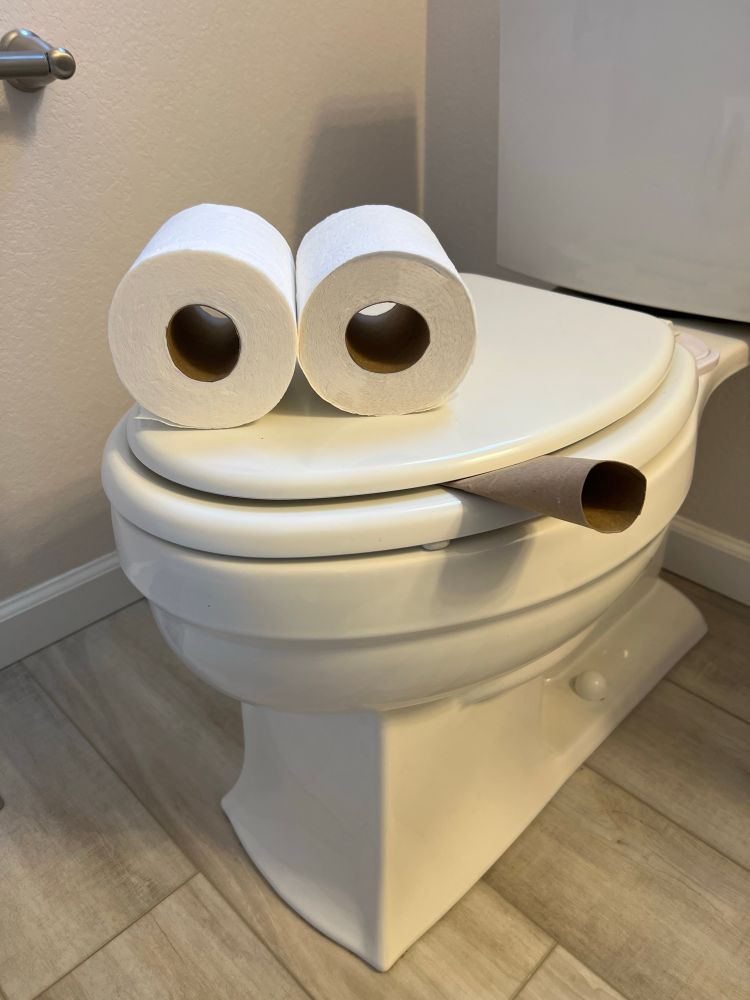 A standard white toilet, bowl. On top of the lid are two TP rolls on their side so you can see the tubes, they look like eyes. Sticking obliquely out of the closed lid is a partially squished TP tube, looking like a tongue sticking out of the curve of the bowl. The whole image looks like 