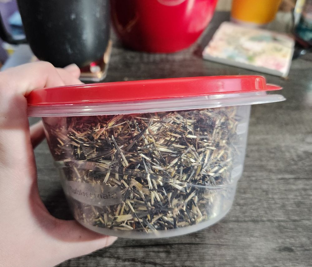 A Tupperware container filled with marigold seeds.
