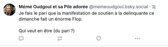 "je fais le pari que la manif de soutien à la délinquante ce dimanche fait un énorme flop"  blousk d'il y a 3 jours