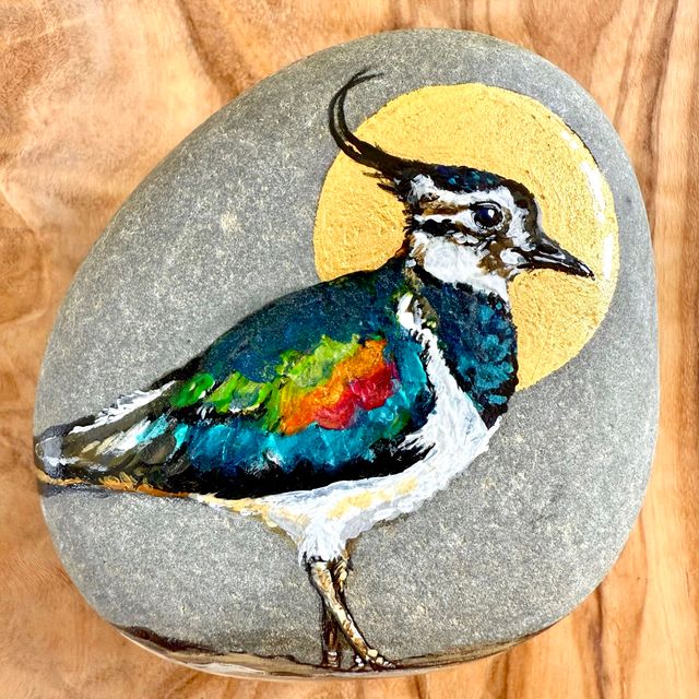 Portrait of a lapwing or peewit showing the beautiful colours on the wings - painted on a pebble/cobble with a gilded 24ct gold disc