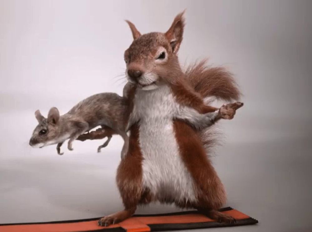 a stuffed squirrel is holding a dead mouse on its back