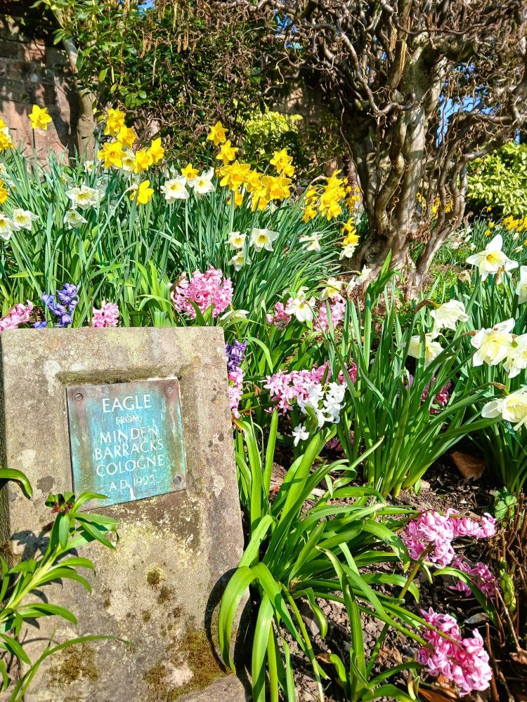 Pink and purple hyacinth and white-yellow and yellow varieties of daffodil around a plaque 'EAGLE / FROM / MINDEN / BARRACKS / COLOGNE / A.D. 1925
