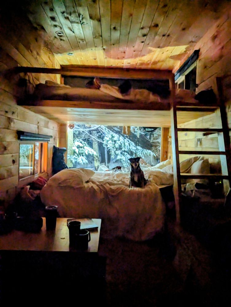 inside of a cabin with snow outside the sindow and a dog sitting on a ed