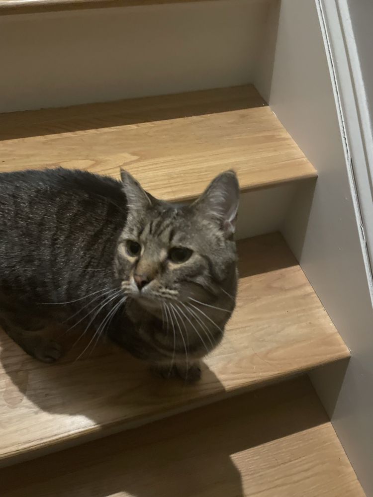 Jackson Avery on our steps