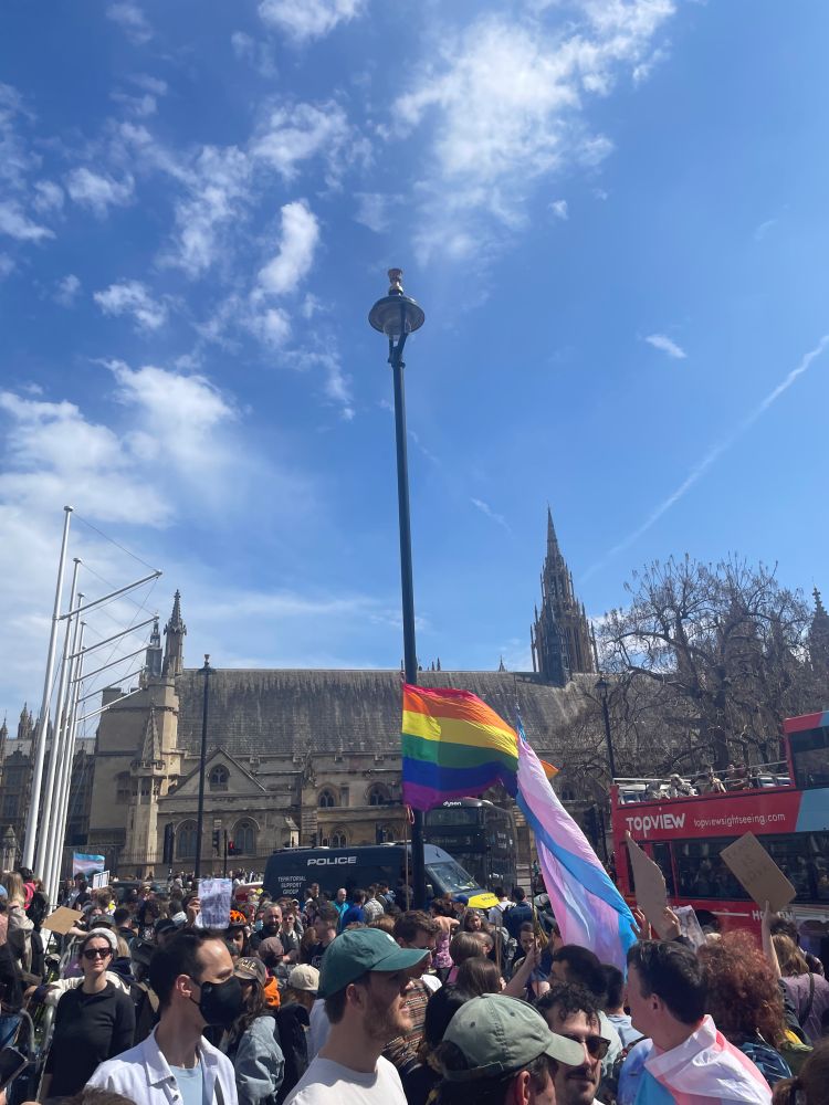 Pride and trans flags at a protest in parliament square. The Houses of Parliament are in the background.
Trans rights are human rights.