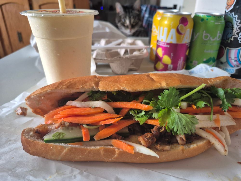 Photo of a pork bahnmi with a mango smoothie and a blurry cat in the background.