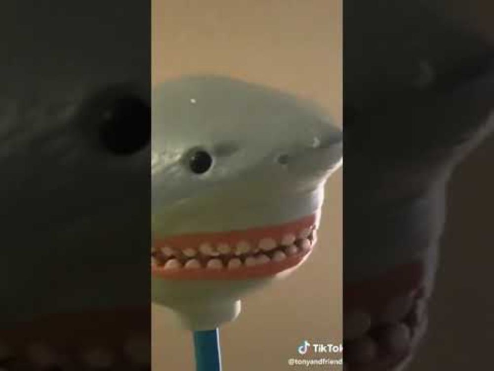 Someone here is possessed by an owl shark tik tok