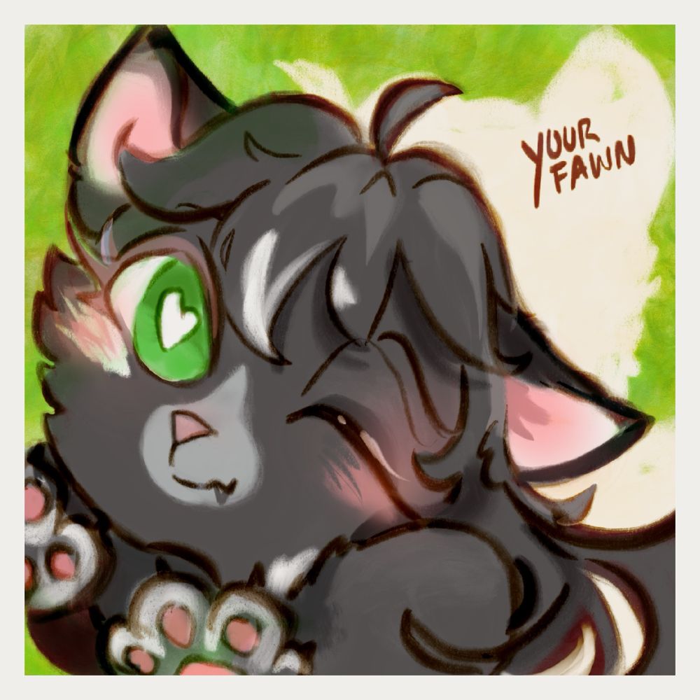 Curious, cheerly, and playful. This tuxedo girl is really affectionate towards her guinea pig. 
“We are the best partner (in crime!!,) Ever!!!”