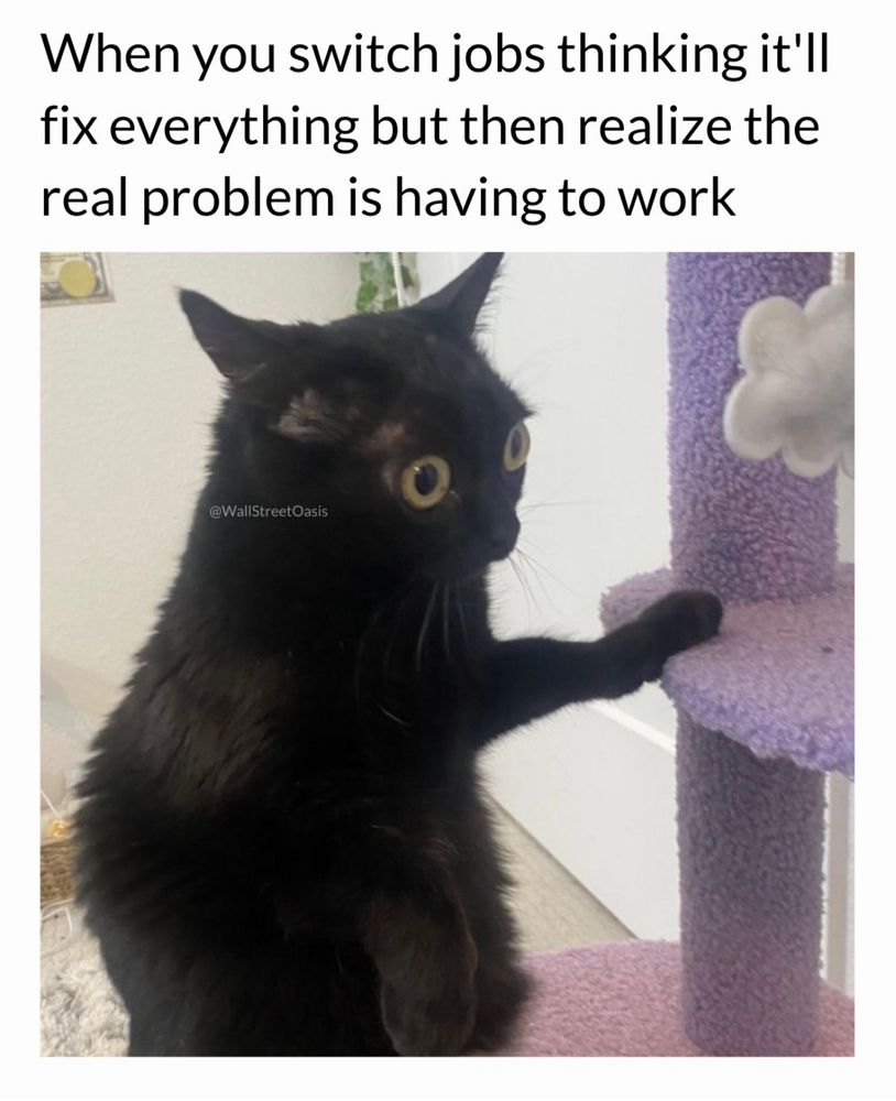 Frazzled cat, sitting up like a human, eyes bugging out in exasperation, headline reads: “When you switch jobs thinking it'll fix everything but then realize the real problem is having to work”
Me right now, facing a very uncertain future. 