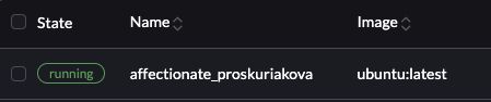Docker container randomly named "affectionate_proskuriakova"