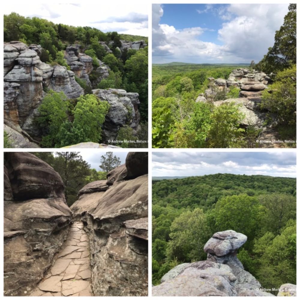 A Visit to Garden of the Gods Recreation Area Proves That Illinois is Not Just One Big, Flat Cornfield