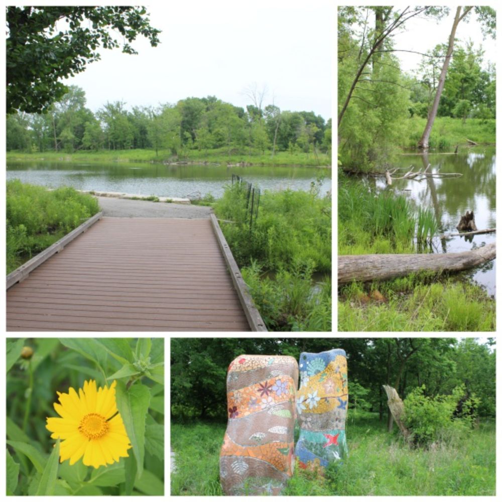 West Ridge Nature Preserve: An Oasis in Chicago