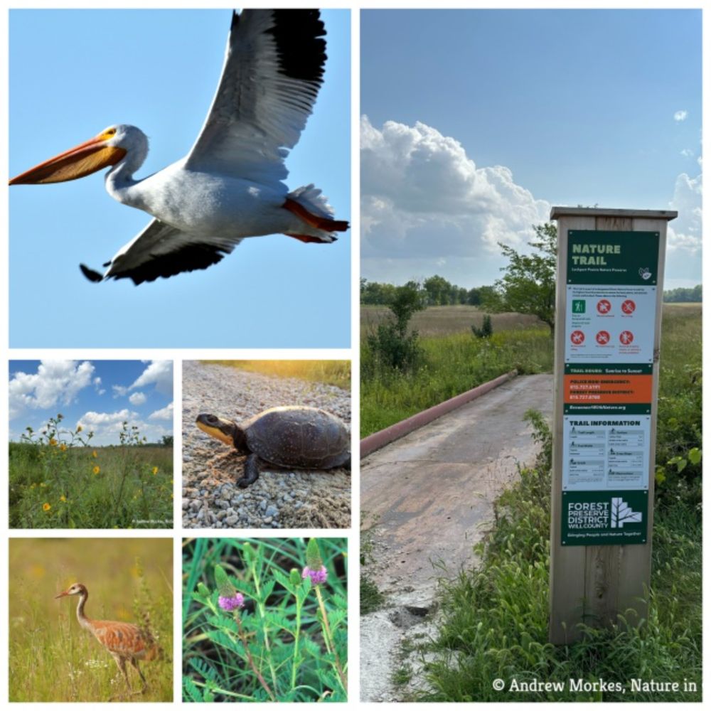 7 Things to Do at Lockport Prairie Nature Preserve