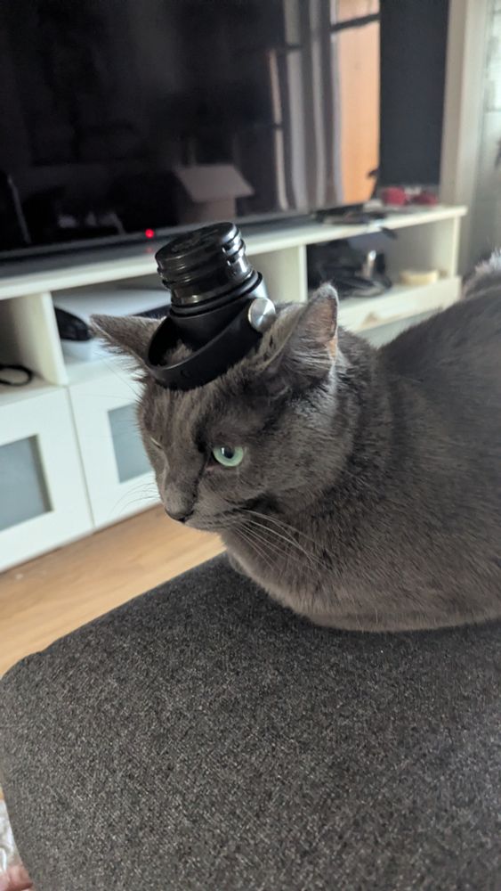 A thermos cap is balanced on Vivi's head