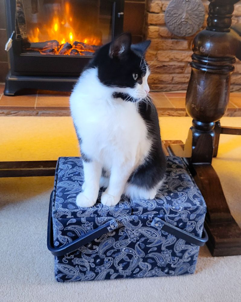 A black and white kitten sat on a navy paisley sewing basket. She is looking to the right of the photo and there is a wood burner effect fireplace in the background.