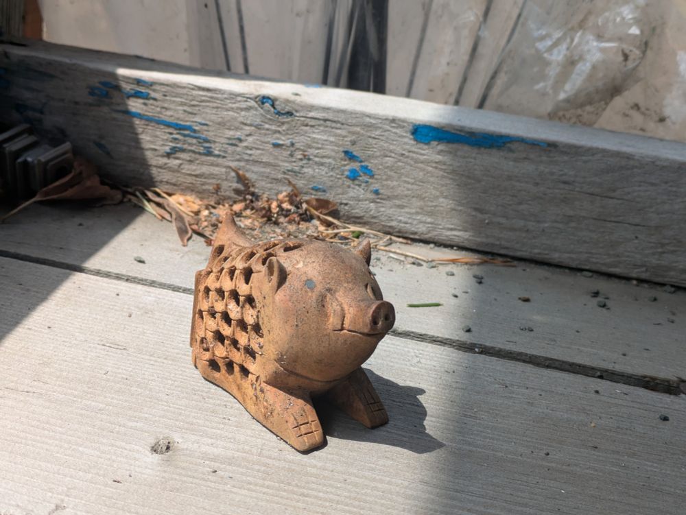 神社に置いてあった木彫りのイノシシ。
ぽつんと置いてあって、不思議。