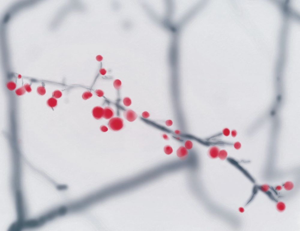 Red winter berry art
