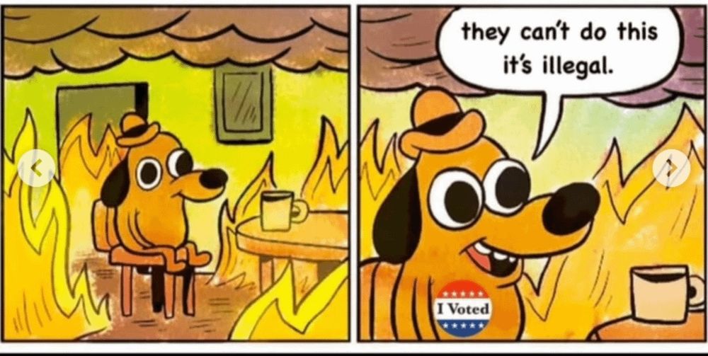 they can't do this it's illegal.
I Voted sticker
***