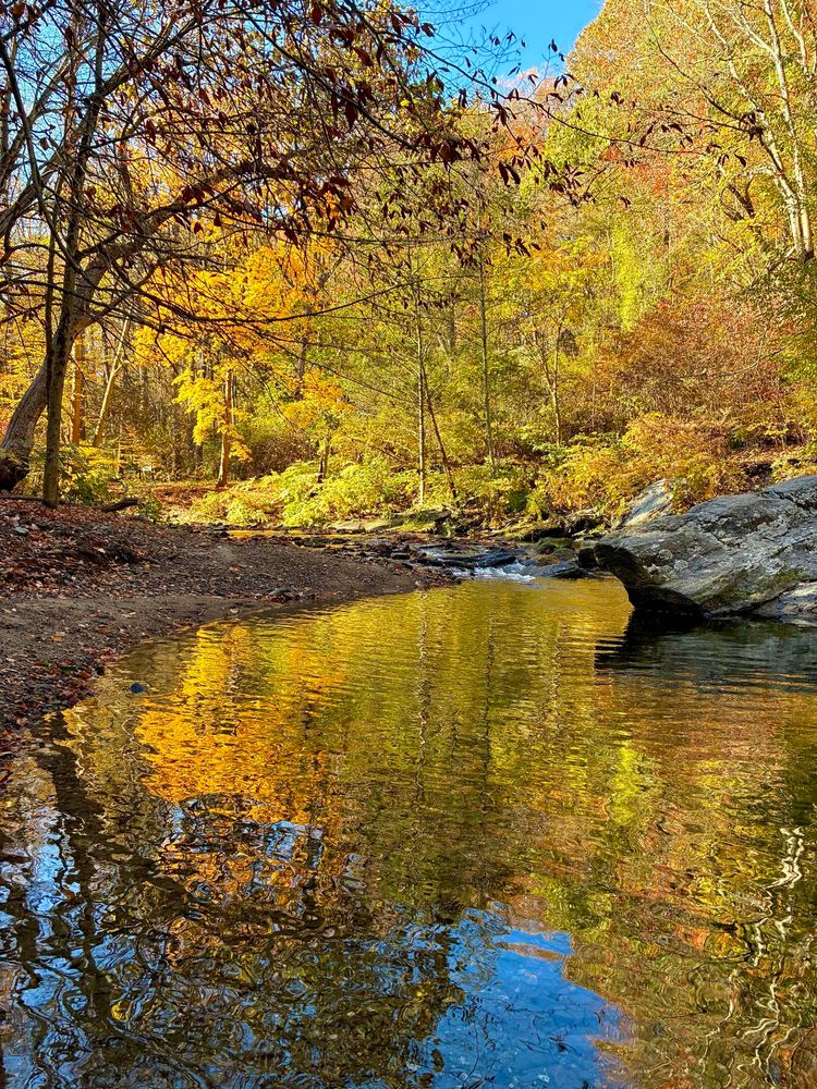 A creek winds through the woods under the soft morning sun. It flows between the sandy left bank and the boulders on the right. The forest glows with a golden light, reflecting on the rippling water. 