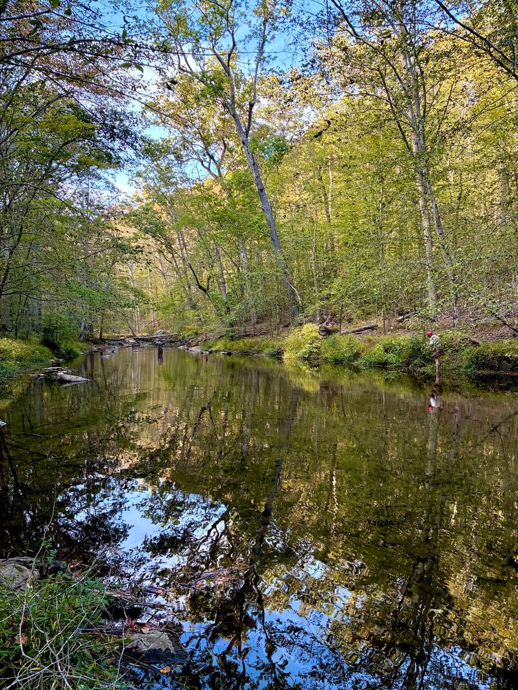 A slow-moving section of a creek on a sunny late afternoon. A few fishermen are trying to catch fish, while the creek water reflects the sky and the surroundings. The right bank is hilly with many tall trees, while the left bank is flatter but still lined with trees.