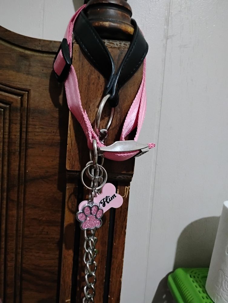 A pink collar hanging from a bed post alongside a black chained leash.