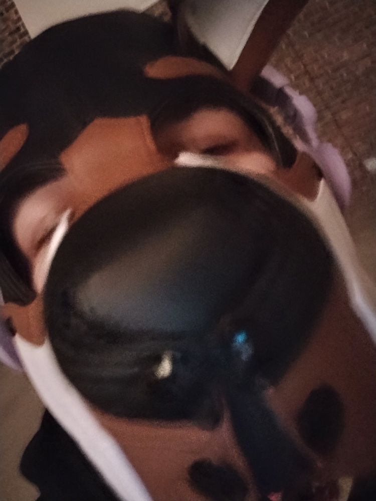Up close selfie of a pup mask with nose in camera