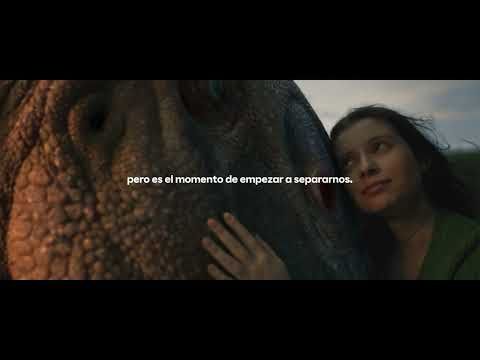 Nos transformamos en Moeve
