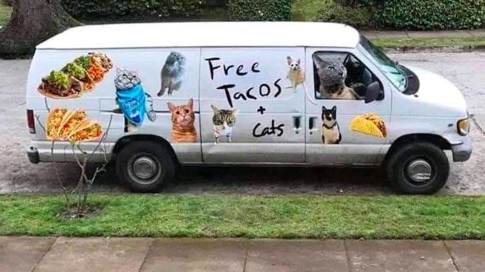 Truck that has pictures of cats and tacos 