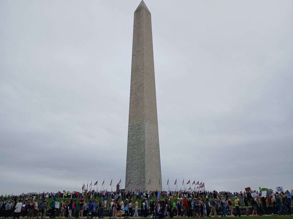 Picture of protestors in front of the Washington monument in Washington, D.C.