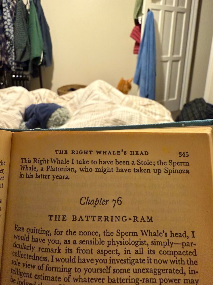 This Right Whale I take to have been a Stoic; the Sperm Whale, a Platonian, who might have taken up Spinoza in his latter years.