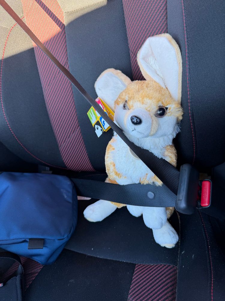 A plush fennec fox buckled in to the passenger seat of my car 