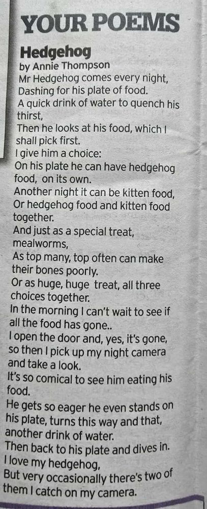 YOUR POEMS Hedgehog by Annie Thompson Mr Hedgehog comes every night, Dashing for his plate of food. A quick drink of water to quench his thirst, Then he looks at his food, which I shall pick first. I give him a choice: On his plate he can have hedgehog food, on its own. Another night it can be kitten food, Or hedgehog food and kitten food together. And just as a special treat, mealworms, As top many, top often can make their bones poorly. Or as huge, huge treat, all three choices together. In the morning I can't wait to see if all the food has gone.. I open the door and, yes, it's gone, so then I pick up my night camera and take a look. It's so comical to see him eating his food. He gets so eager he even stands on his plate, turns this way and that, another drink of water. Then back to his plate and dives in. I love my hedgehog, But very occasionally there's two of them I catch on my camera.