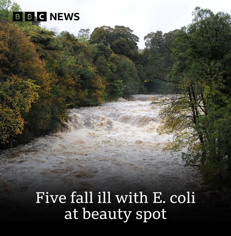 BBC Yorkshire: Five fall ill with E. coli at beauty spot