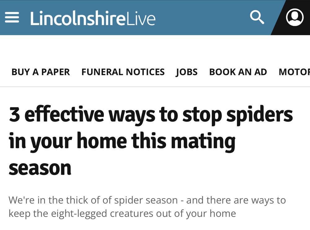 Lincolnshire Live: 3 effective ways to stop spiders in your home this mating season. Style guide hint: Use the word instead of the numeral for numbers less than ten. 