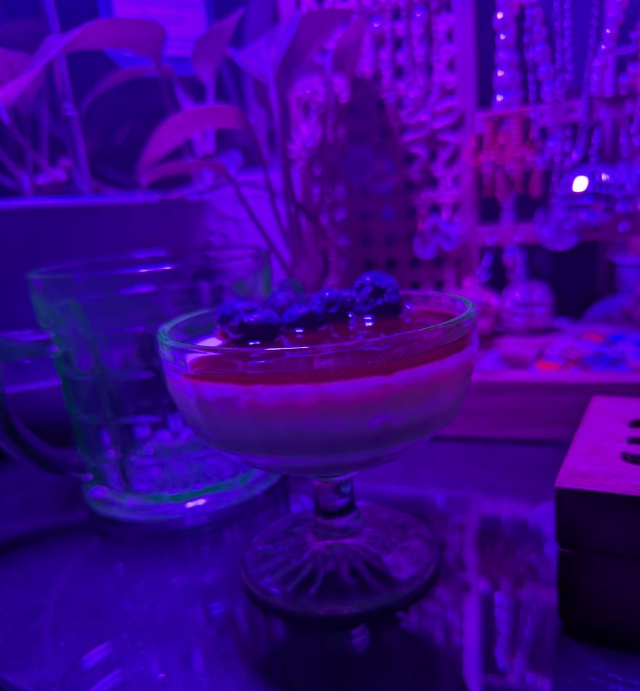 Panna cotta in uranium glass dish with blackberry sauce and blueberries under a uv light. 