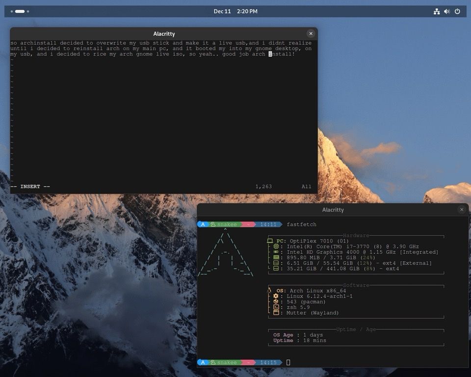 neofetch of the system