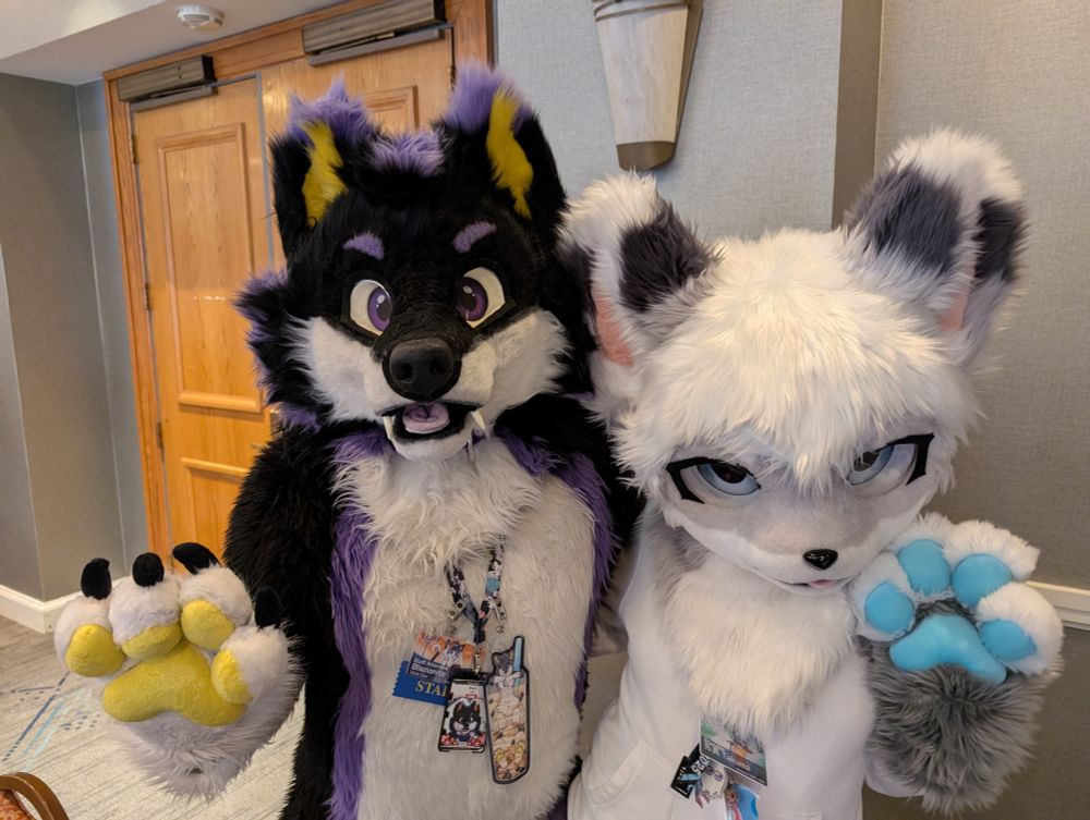 Blazi Wolf and Takuma the Wolf 