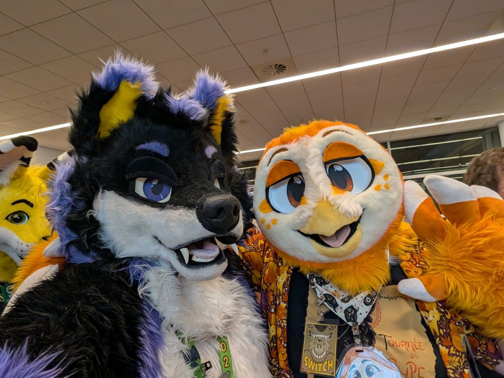 Blazi Wolf and Sawyer the Owl (owned by AriBirby)