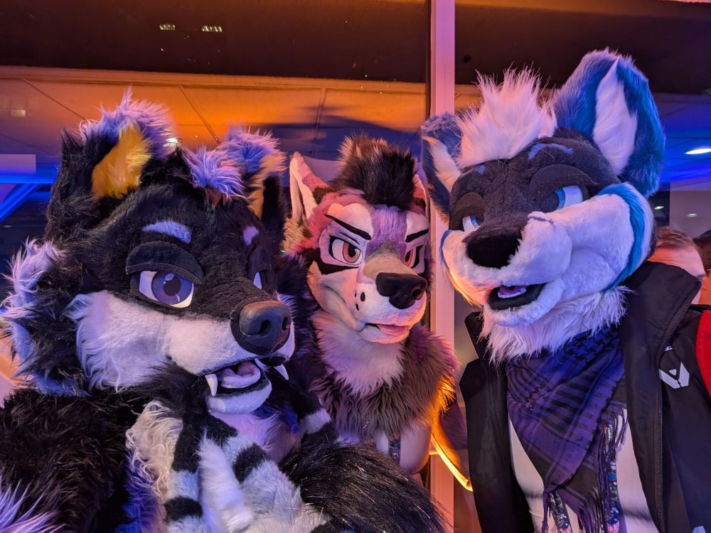 Blazi Wolf, Akaru Wolf, and Iris Fox