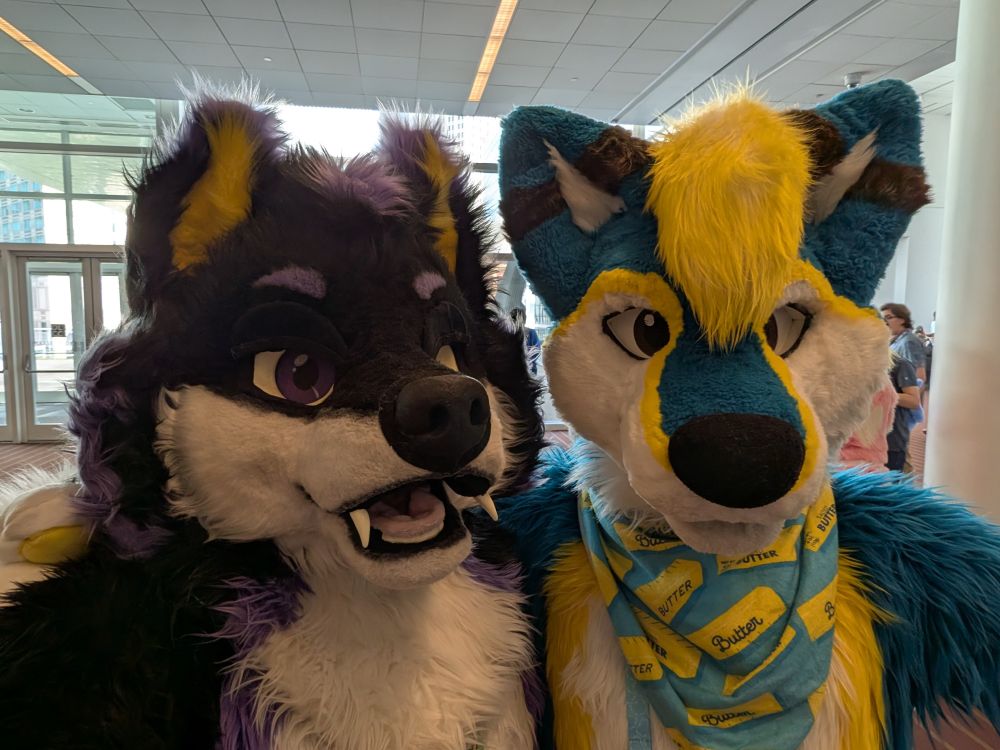 Blazi Wolf and Danno Husky