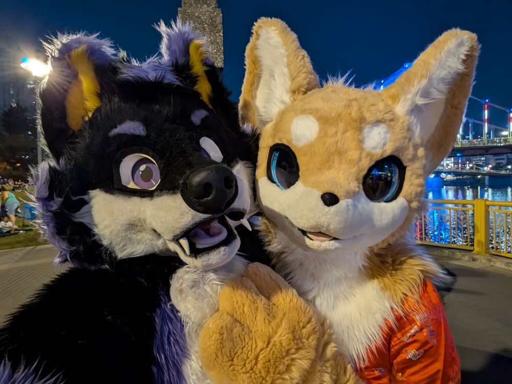 Blazi Wolf and Kincha the Shiba Inu (owned by FrozenNeroj) near the water at night 