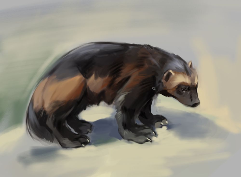 Simple wolverine painting