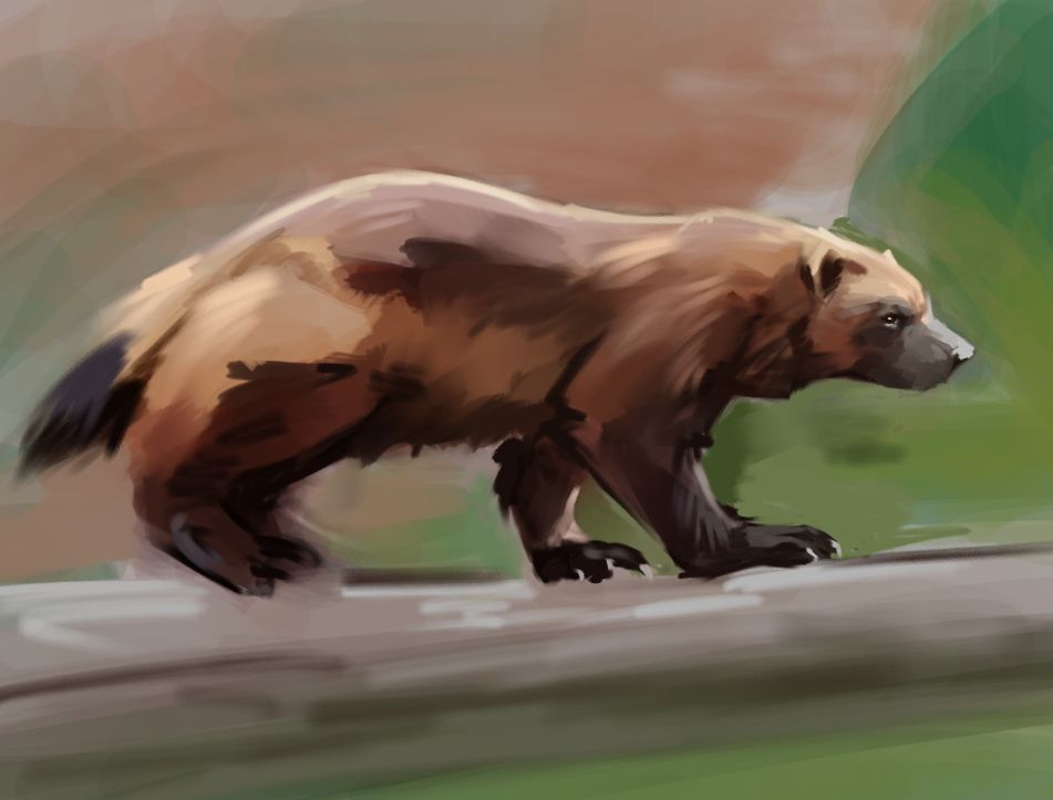 Simple wolverine painting