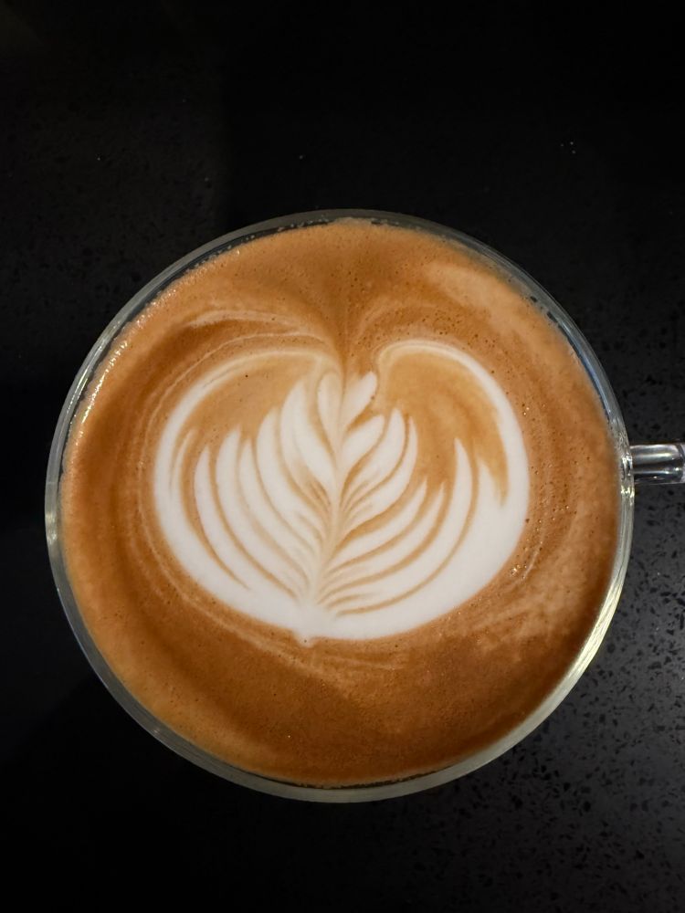 A semi impressive piece of latte art that sort of resembles the Rosetta design 