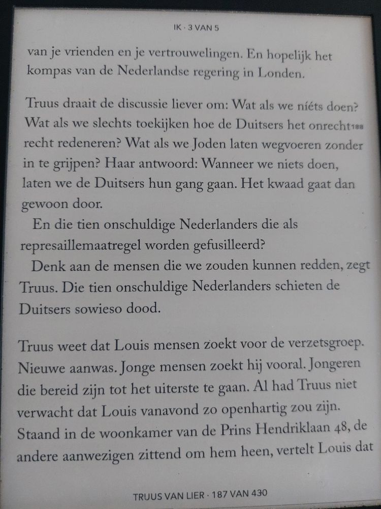 Fragment uit het boek Truus van Lier.
